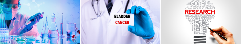 University of York Researchers Shed New Light on Causes of Bladder Cancer