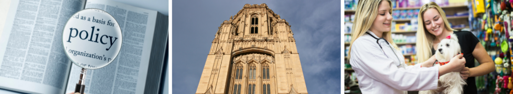 38 Subjects at the University of Bristol Acknowledged Being the Finest by QS World University Rankings by Subject 38 Subjects at the University of Bristol Acknowledged Being the Finest by QS World University Rankings by Subject